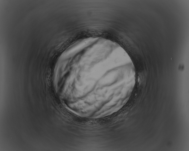 X0000091200867200708301558