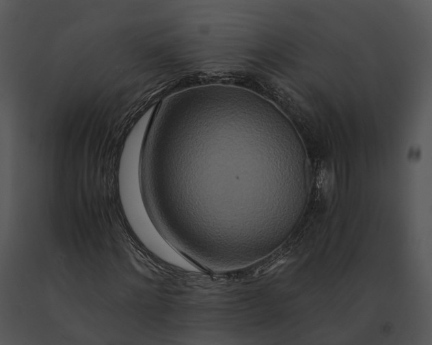 X0000091200868200708301558