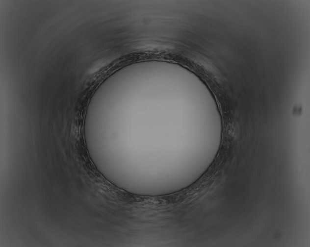 X0000091200869200708301558