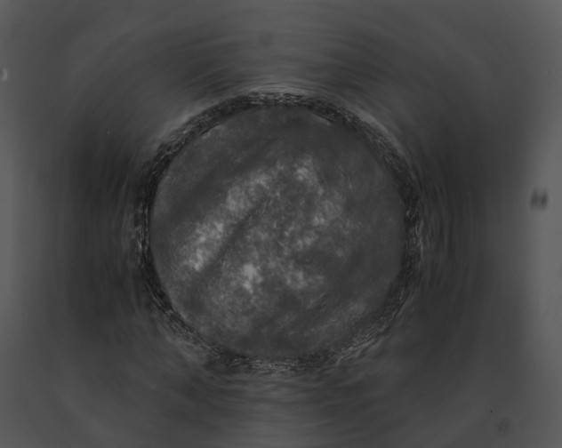 X0000091200870200708301558