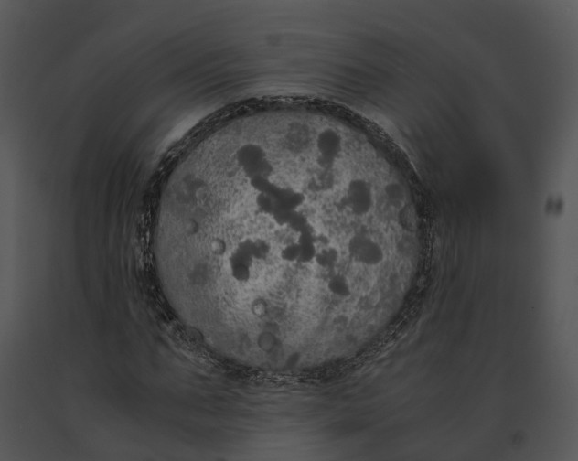 X0000091200871200708301558