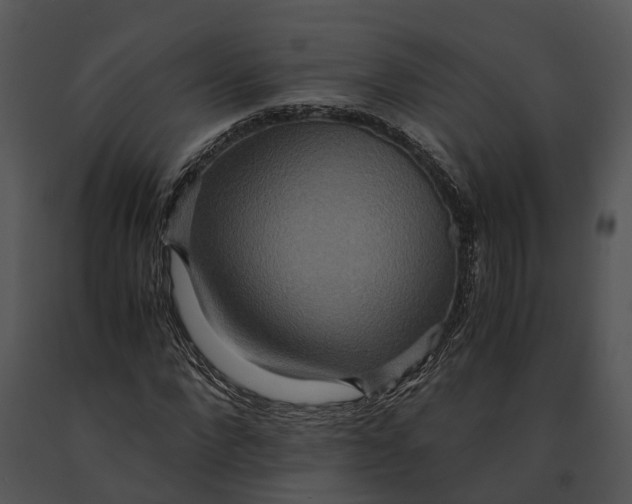 X0000091200872200708301558