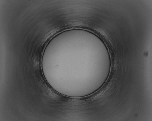X0000091200873200708301558