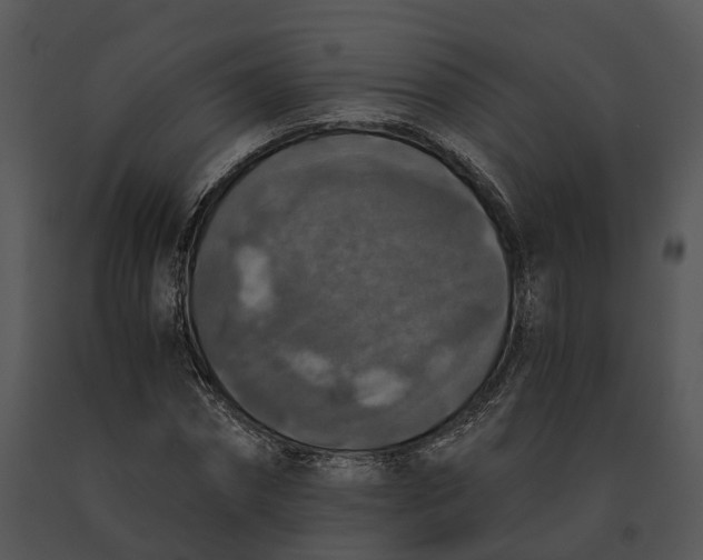 X0000091200874200708301558