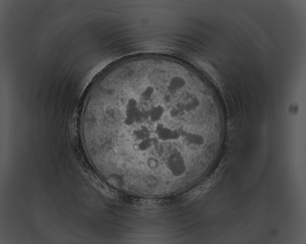 X0000091200875200708301558