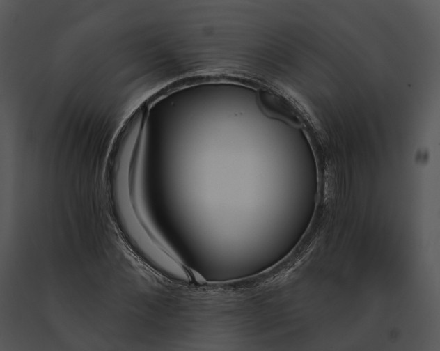 X0000091200876200708301558