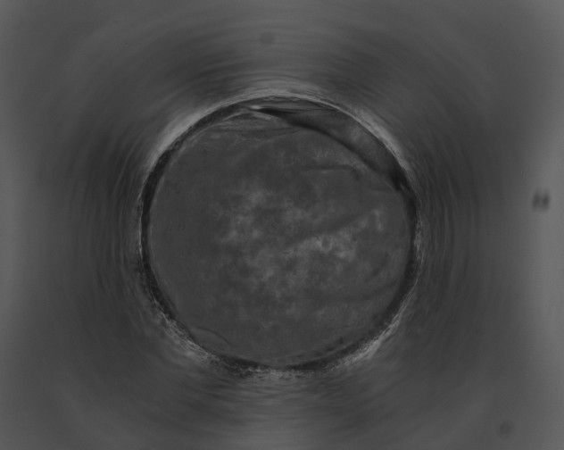 X0000091200877200708301558