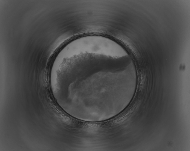 X0000091200878200708301558