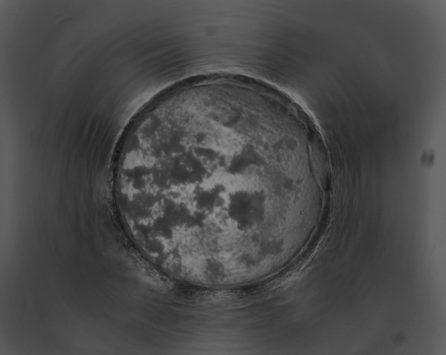 X0000091200879200708301558