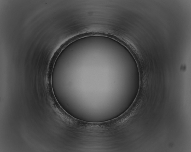 X0000091200880200708301558