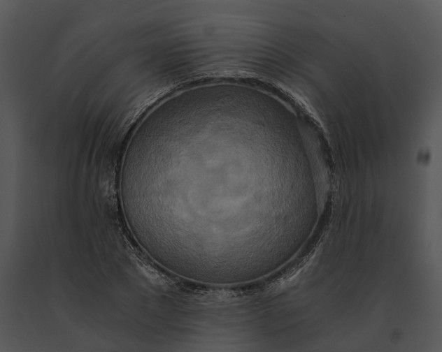 X0000091200881200708301558