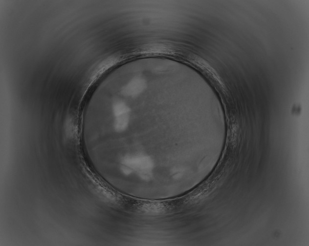 X0000091200882200708301558