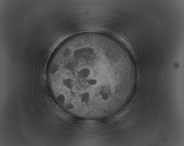X0000091200883200708301558