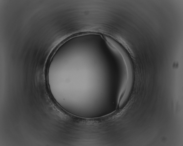 X0000091200884200708301558