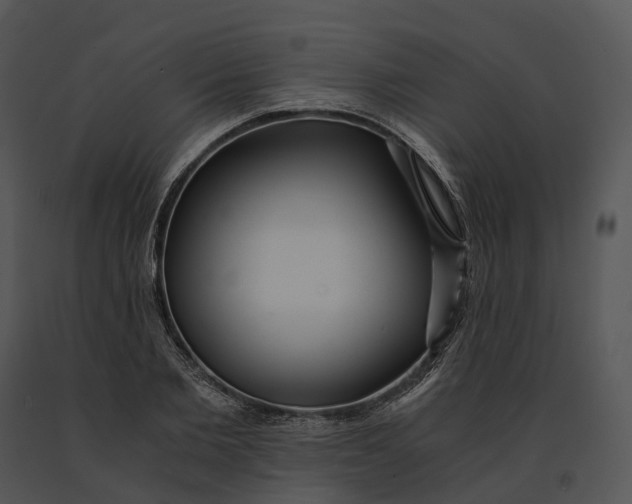 X0000091200885200708301558