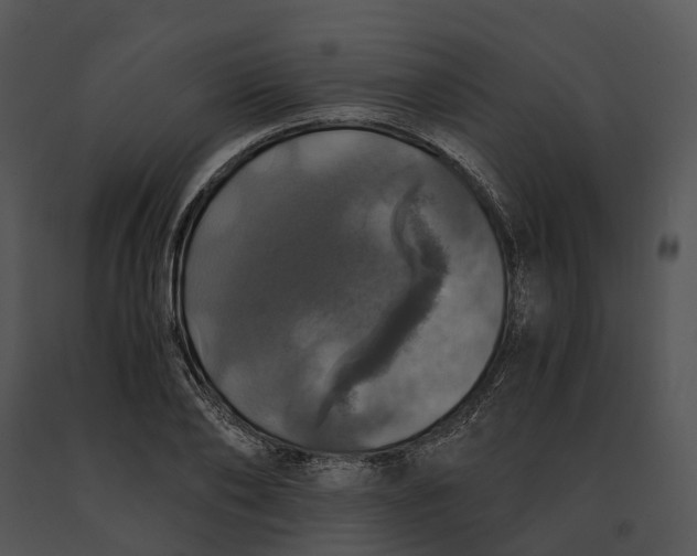 X0000091200886200708301558