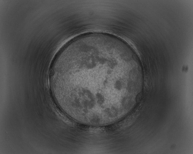 X0000091200887200708301558