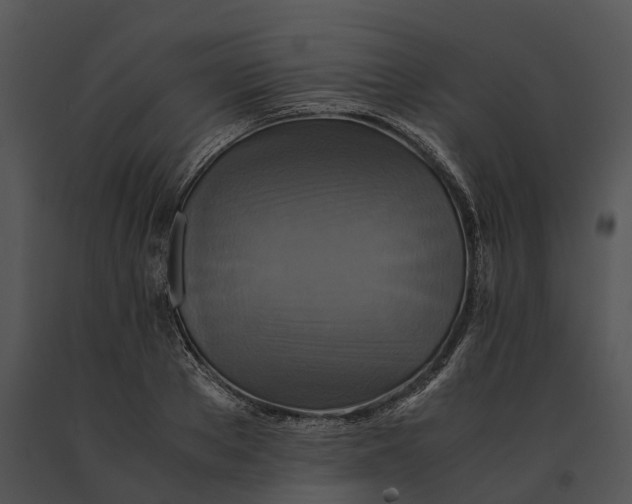 X0000091200889200708301558