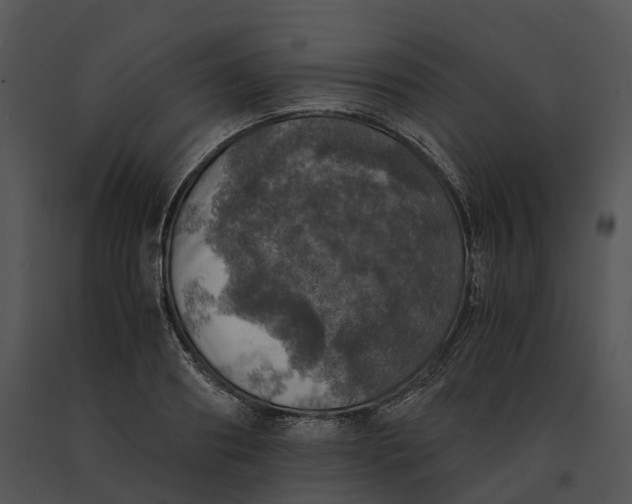 X0000091200890200708301558