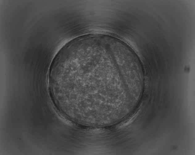 X0000091200891200708301558