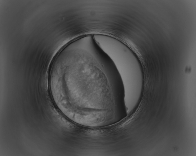X0000091200892200708301558