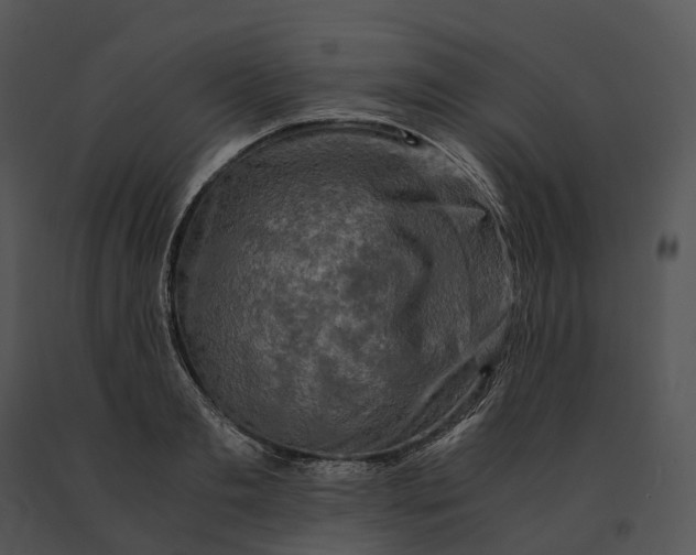 X0000091200893200708301558