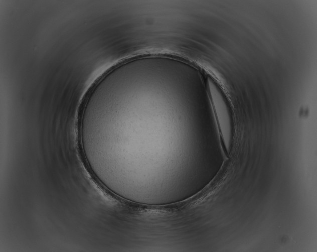X0000091200894200708301558