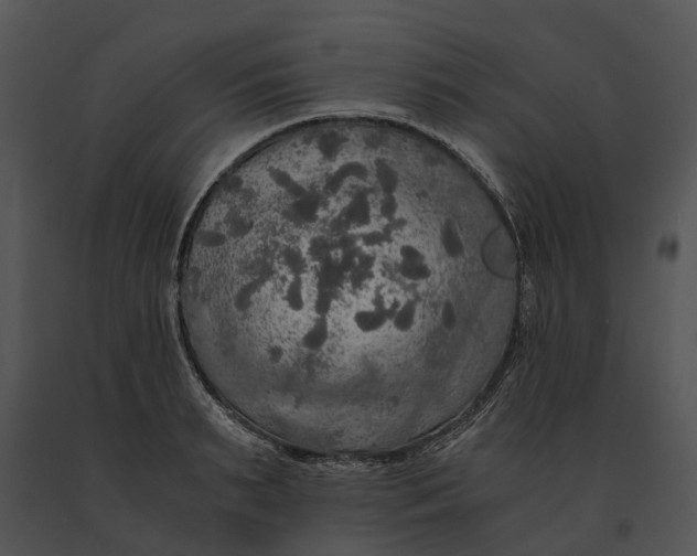 X0000091200895200708301558
