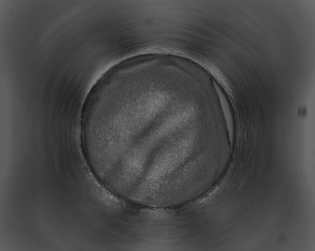X0000091200896200708301558