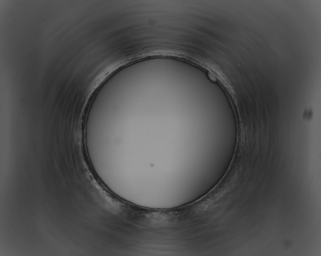 X0000091200898200708301558