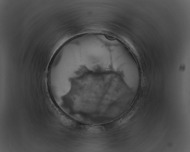 X0000091200899200708301558