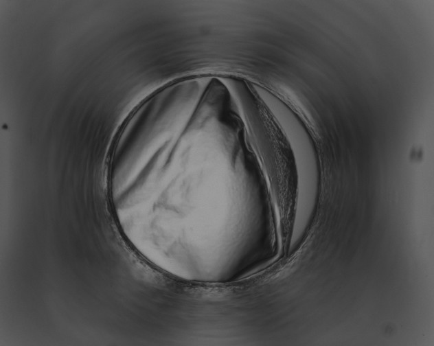 X0000091200900200708301558