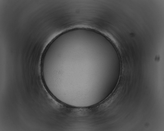 X0000091200902200708301558