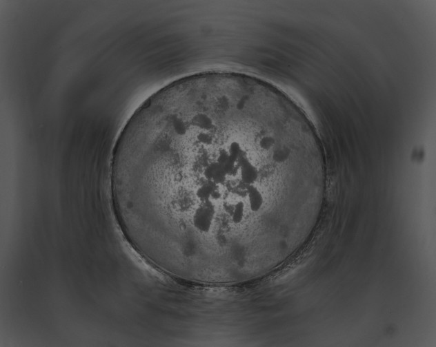 X0000091200903200708301558