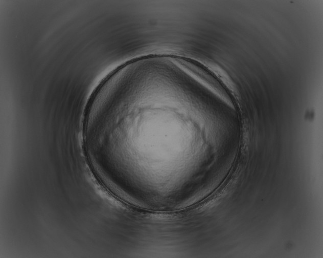 X0000091200904200708301558