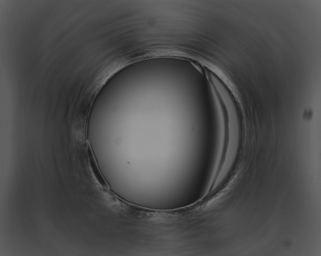 X0000091200905200708301558