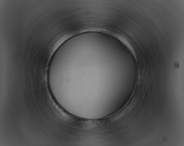 X0000091200906200708301558
