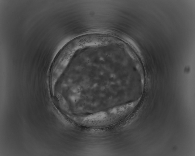 X0000091200907200708301558