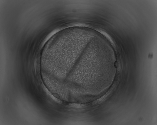 X0000091200910200708301558
