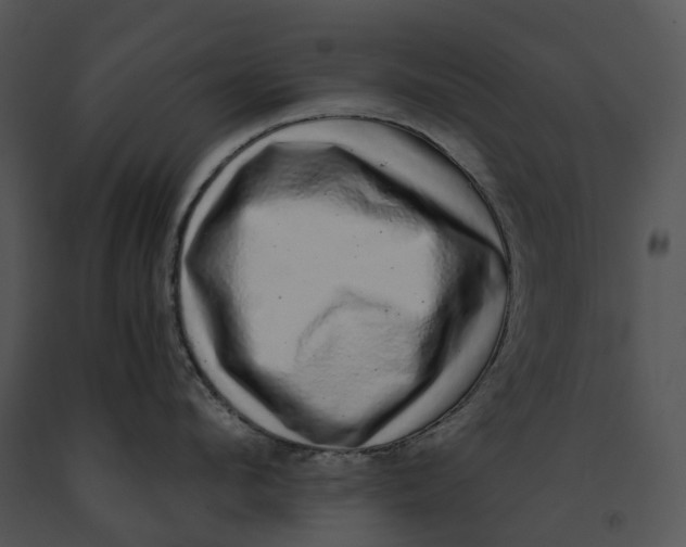 X0000091200912200708301558