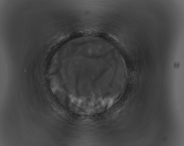 X0000091200913200708301557