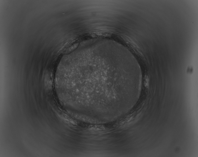 X0000091200915200708301557