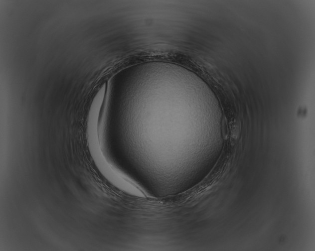X0000091200916200708301557