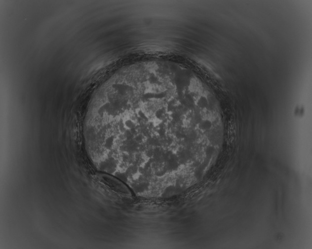X0000091200917200708301557