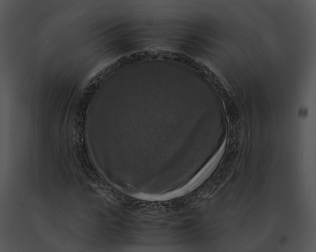 X0000091200919200708301557