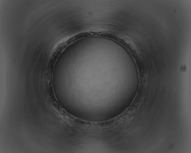 X0000091200920200708301557