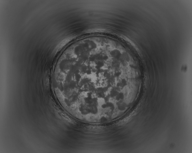 X0000091200921200708301557
