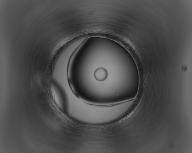 X0000091200922200708301557