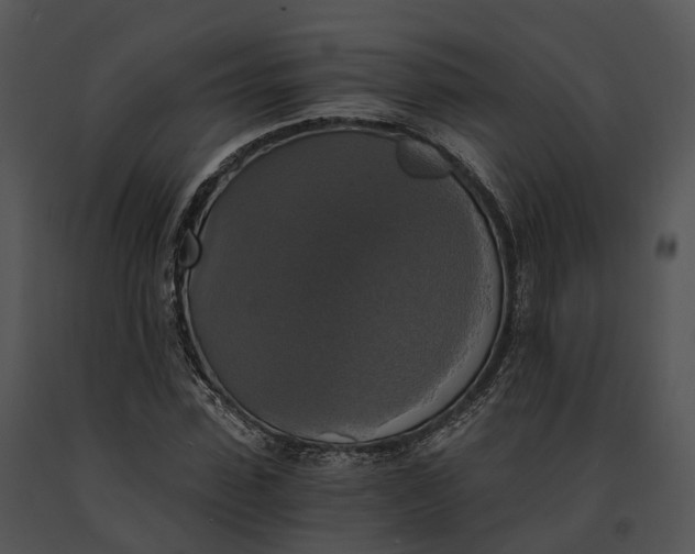 X0000091200923200708301557