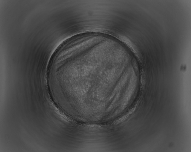 X0000091200924200708301557
